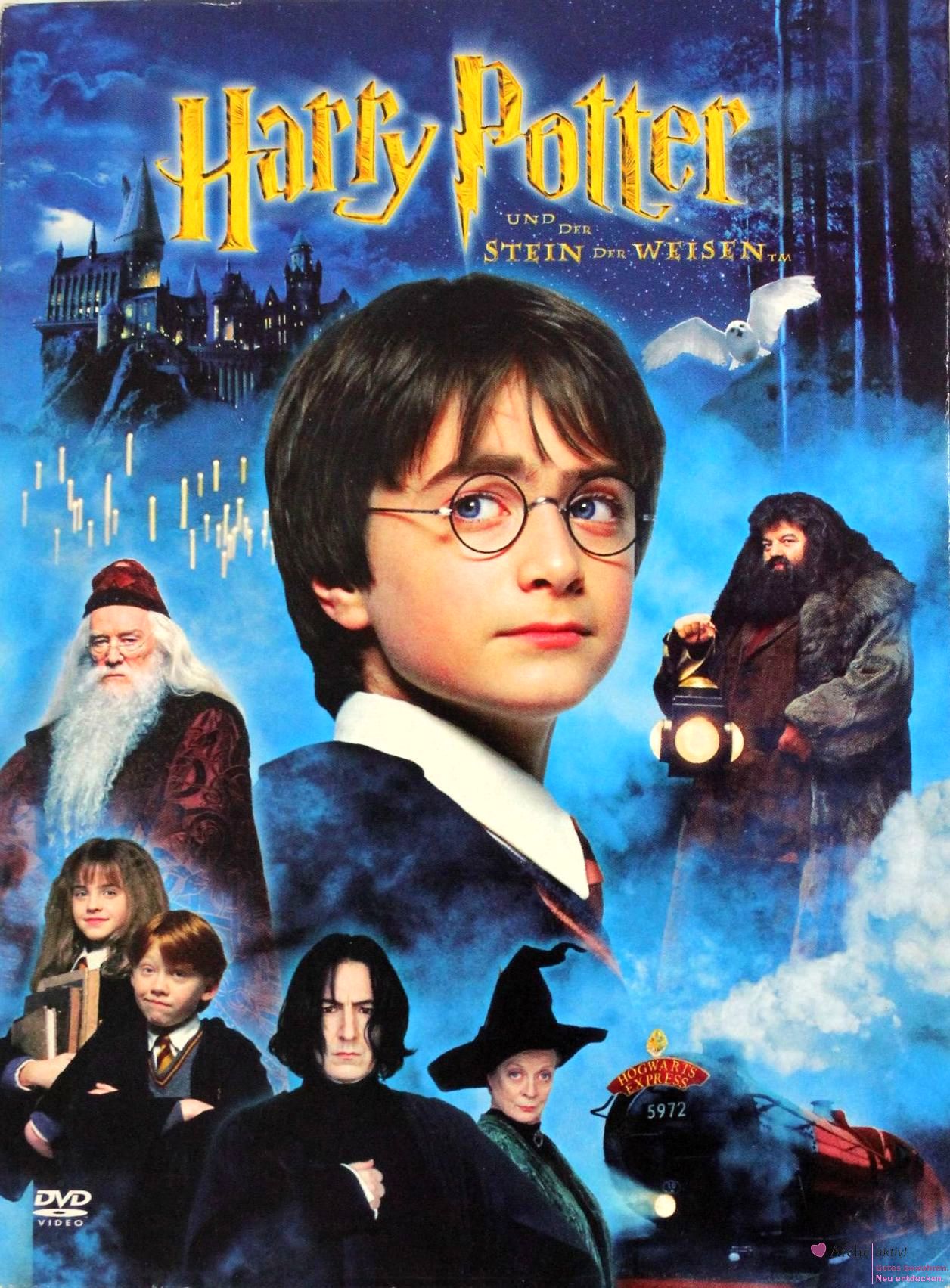 Harry Potter und der Stein der Weisen, 2 DVDs, gebraucht